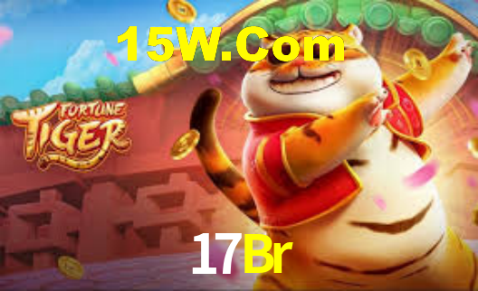 Interface Premium 17Br