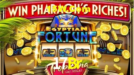 Experiência VIP 17Br